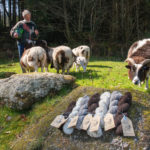 Peter Hunt wool