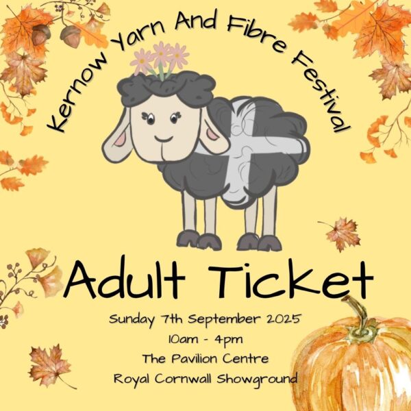 Kernow YAFF 2025 Adult Ticket