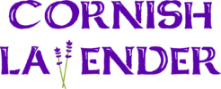 Cornish Lavender